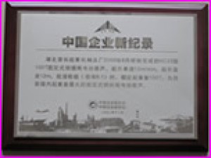 HC25型电动葫芦获创中国企业新纪录。